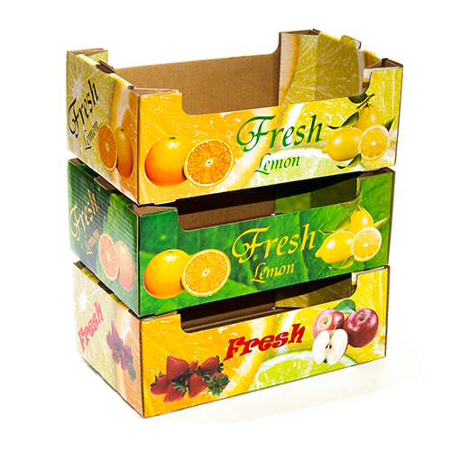 Fruit and Vegetable Box
